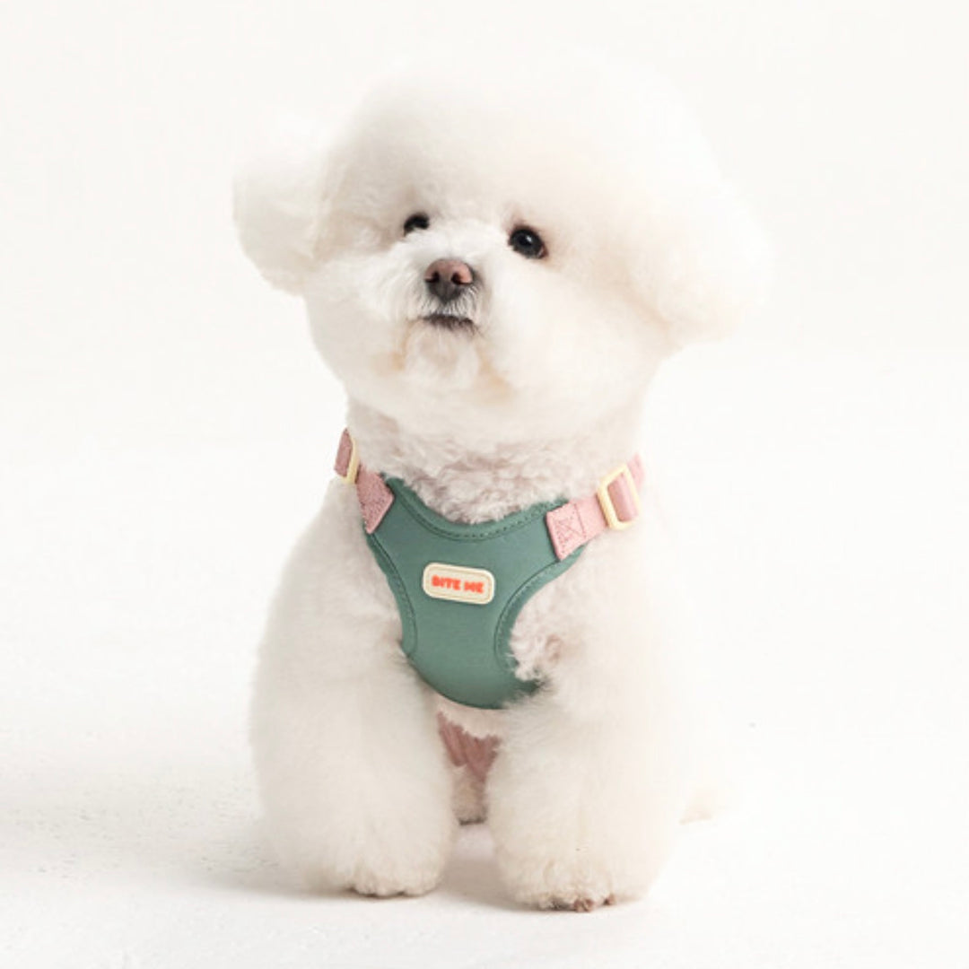 即納【BITE ME】Comfort Harness v2（3 types）｜犬用ハーネス