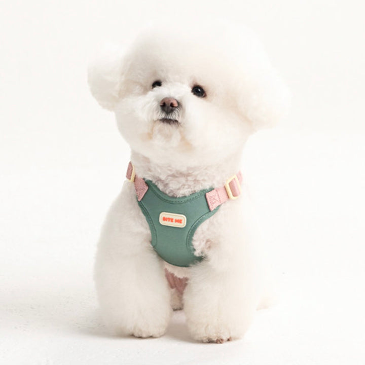 即納【BITE ME】Comfort Harness v2（3 types）｜犬用ハーネス