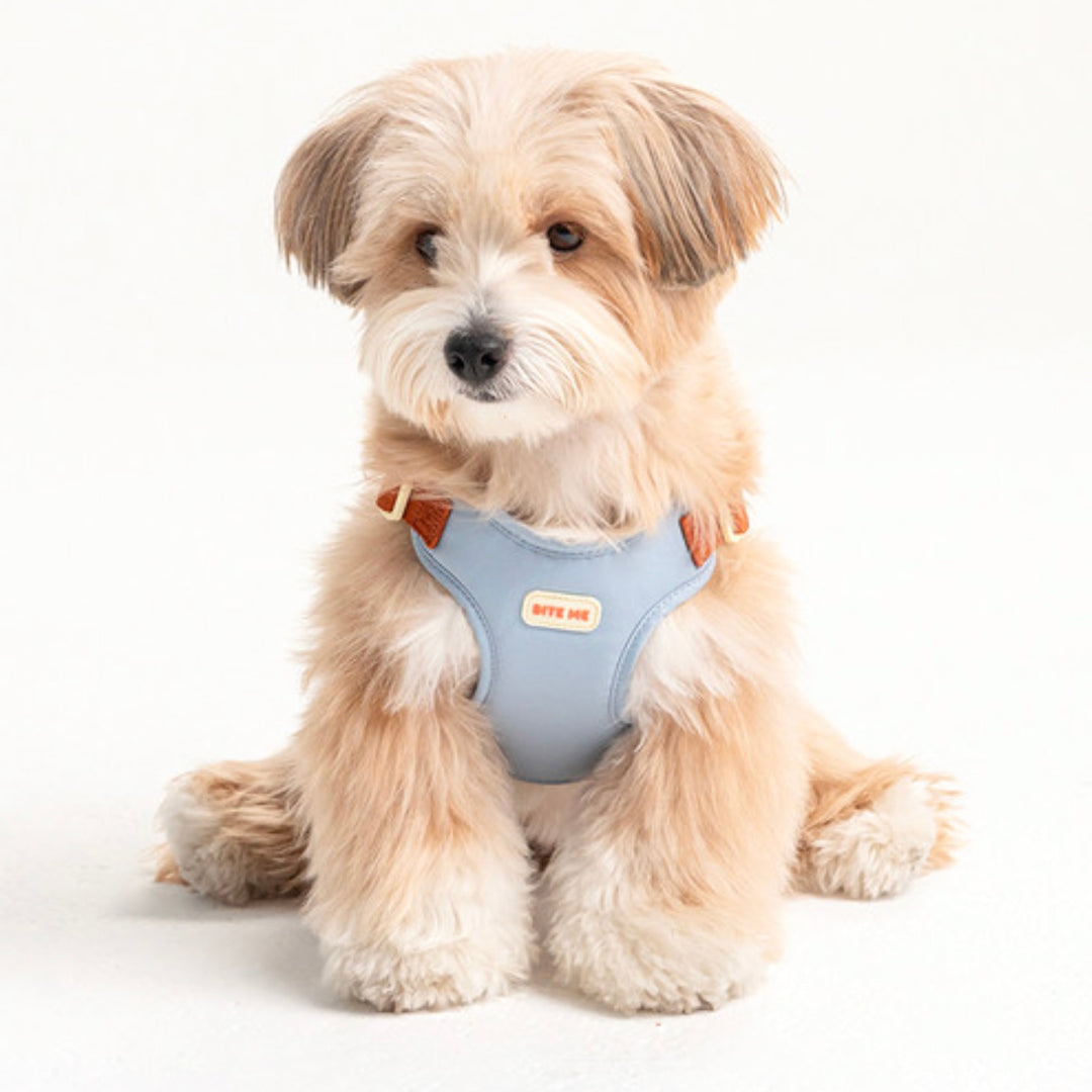 即納【BITE ME】Comfort Harness v2（3 types）｜犬用ハーネス