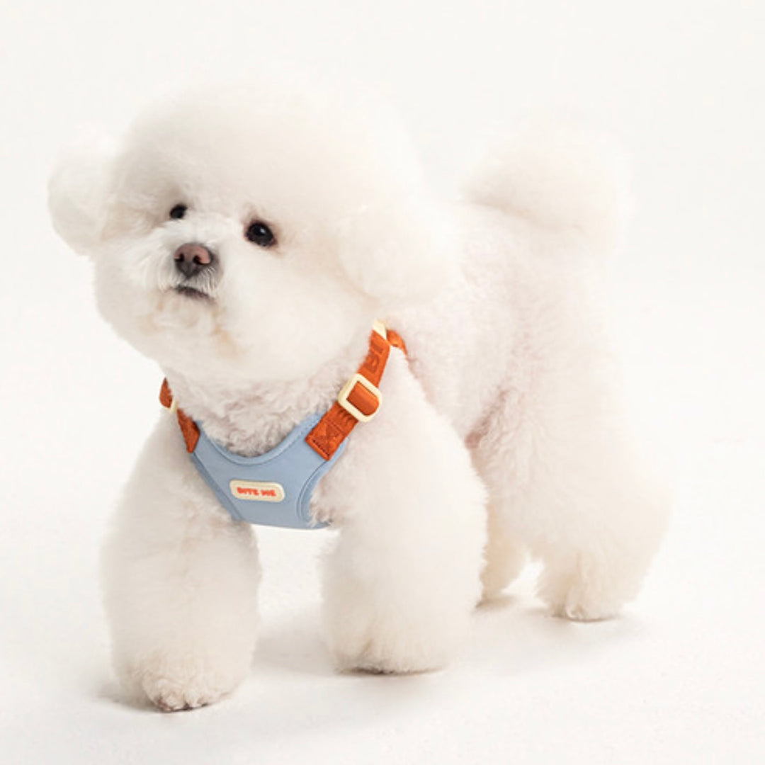 即納【BITE ME】Comfort Harness v2（3 types）｜犬用ハーネス