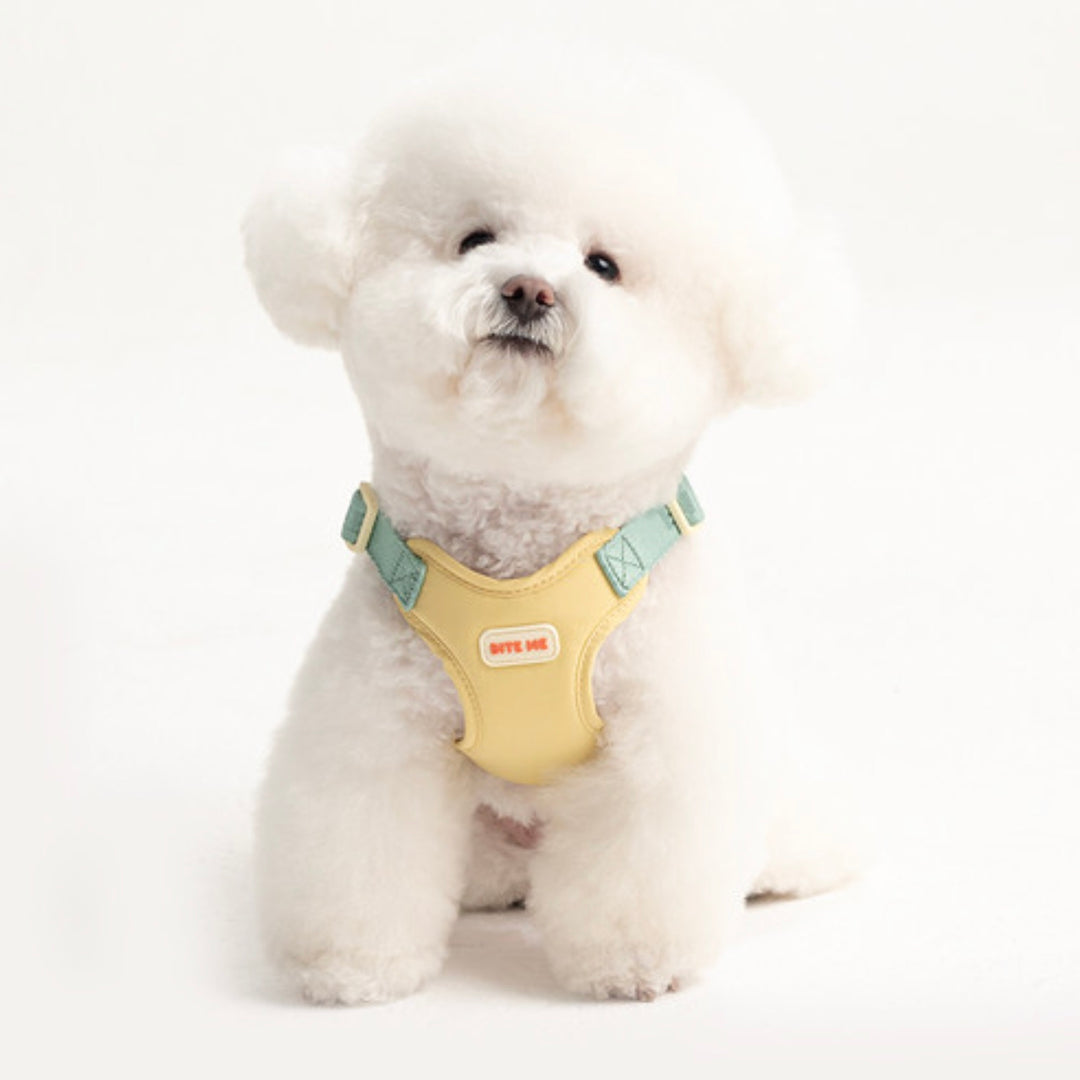 即納【BITE ME】Comfort Harness v2（3 types）｜犬用ハーネス