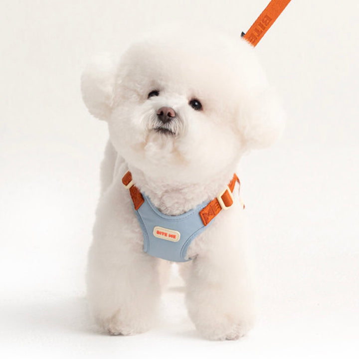 即納【BITE ME】Comfort Harness v2（3 types）｜犬用ハーネス