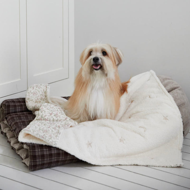 ※予約販売【azalea】Cozy Blanket（Flower / Dot）