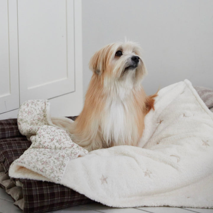 ※予約販売【azalea】Cozy Blanket（Flower / Dot）