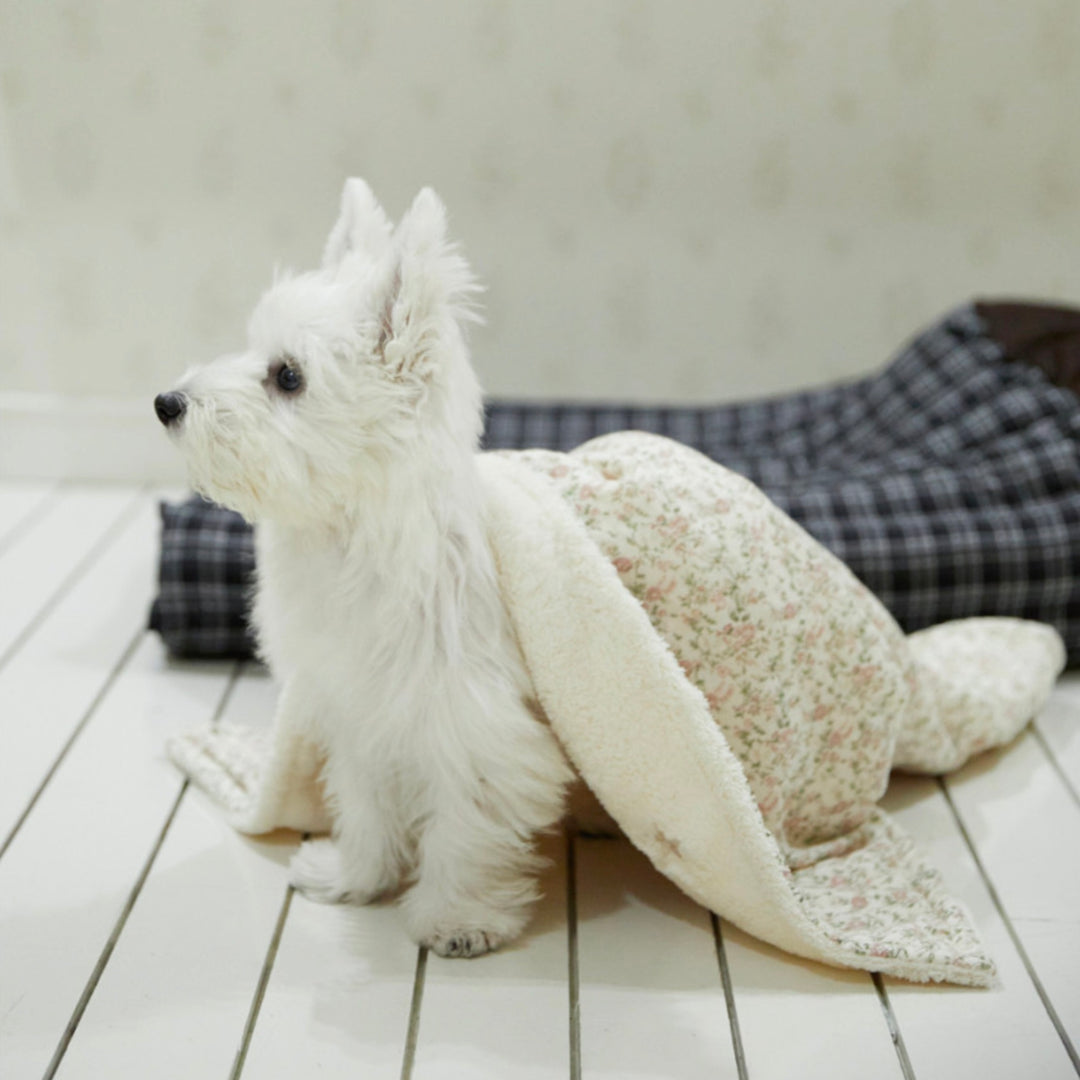 ※予約販売【azalea】Cozy Blanket（Flower / Dot）