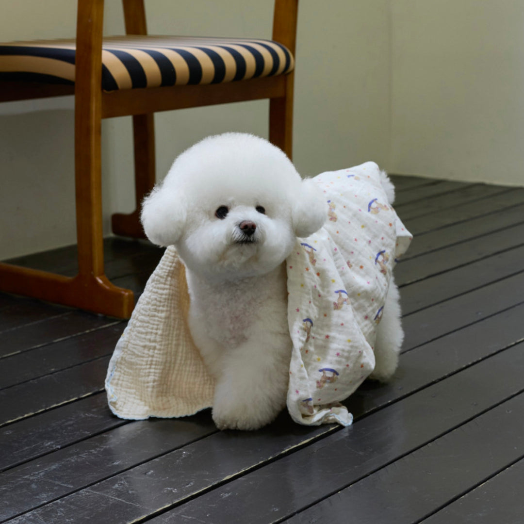 ※予約販売【azalea】Pony Blanket