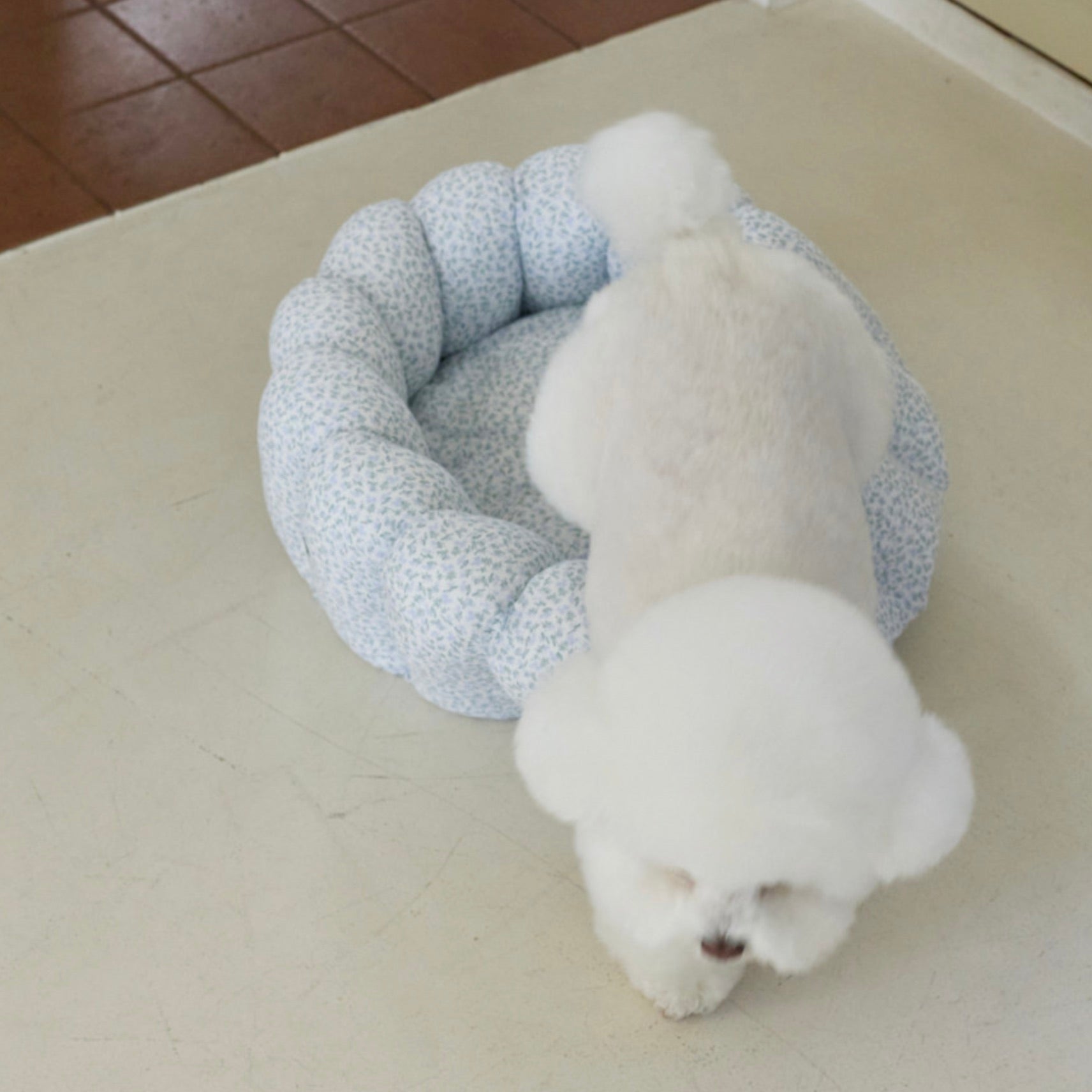 海外犬服 高品質なインポートのドッグウェア通販 