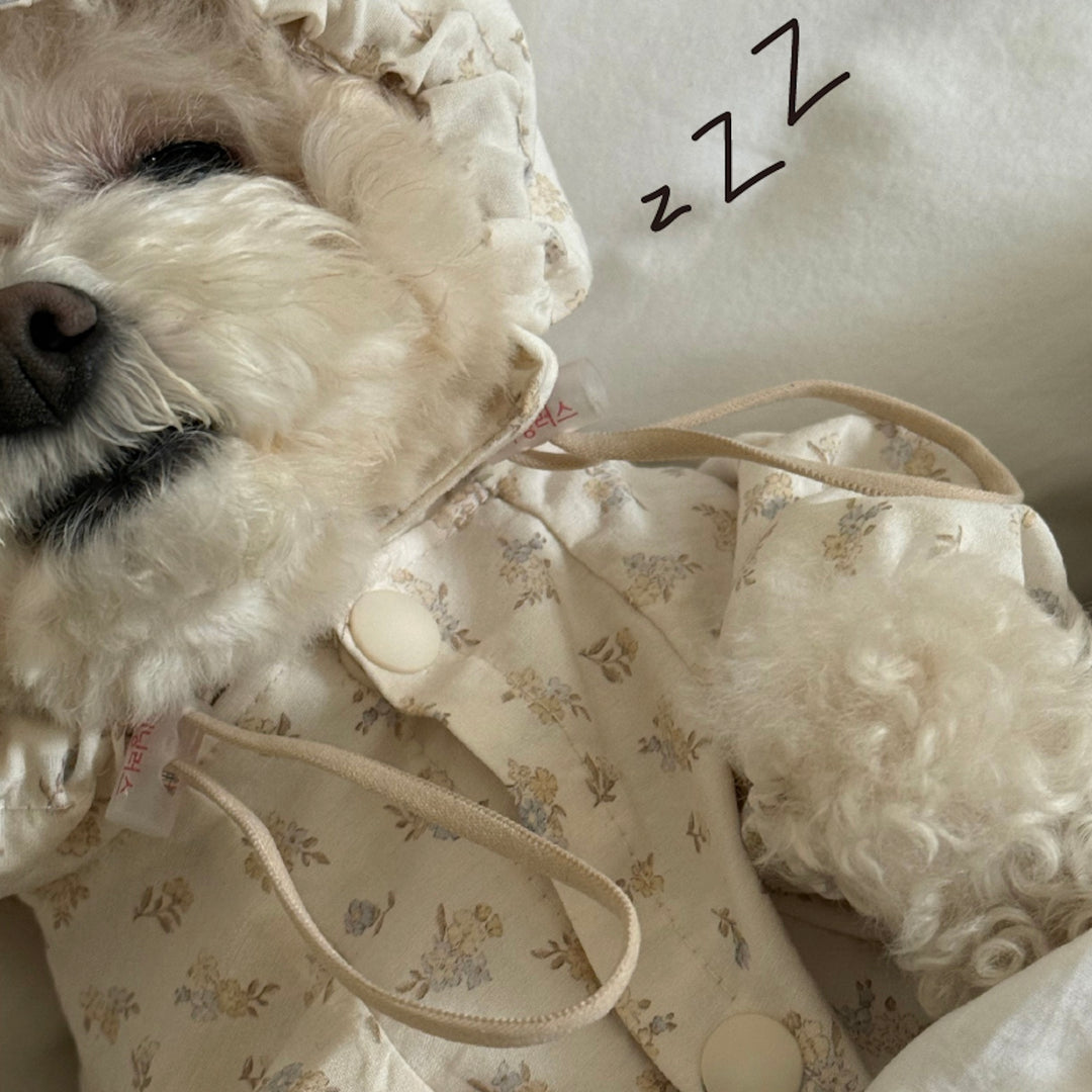 ※予約販売【meaningless】Heart Windbreaker