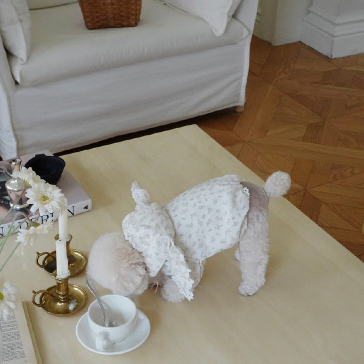 ※予約販売【meaningless】Heart Windbreaker