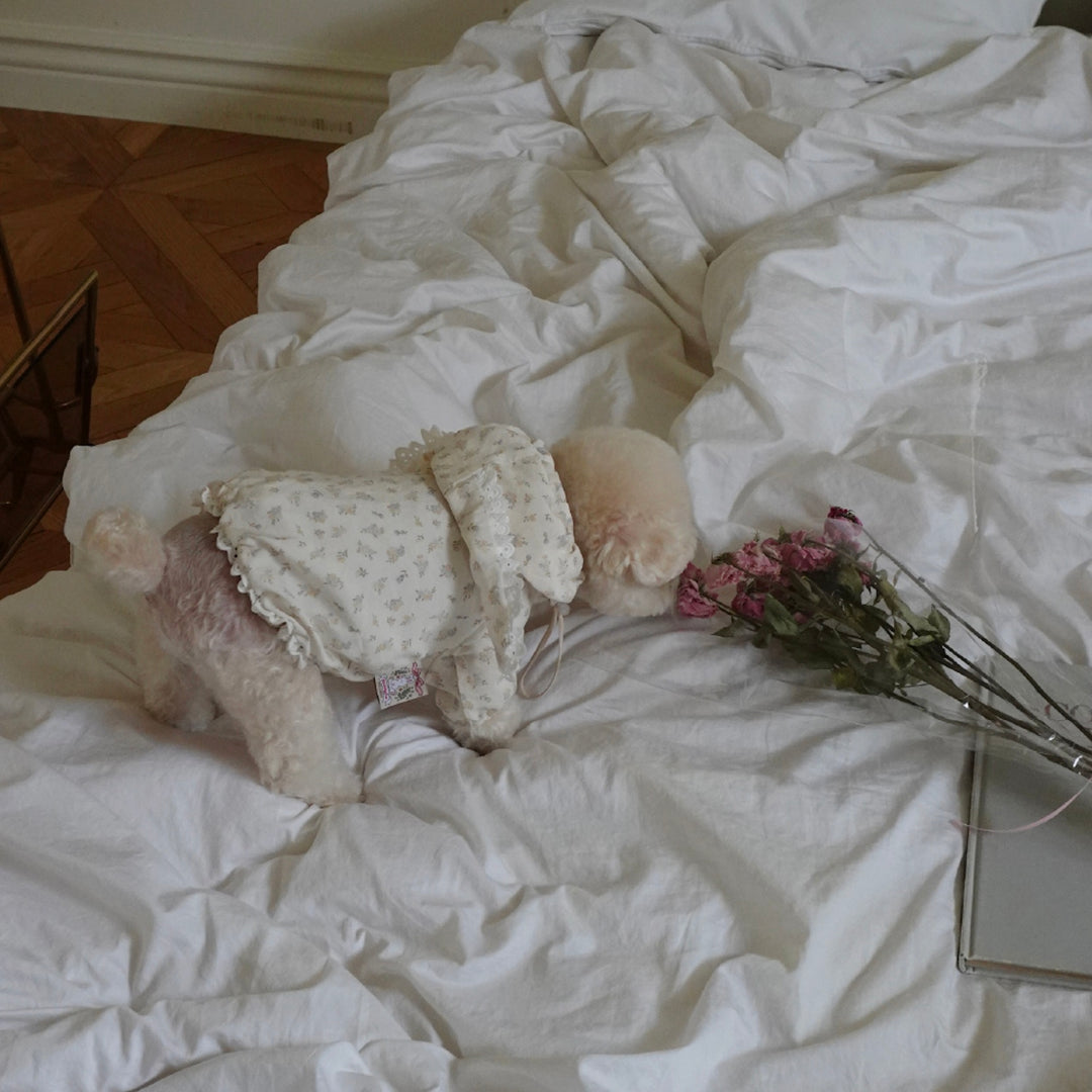 ※予約販売【meaningless】Heart Windbreaker