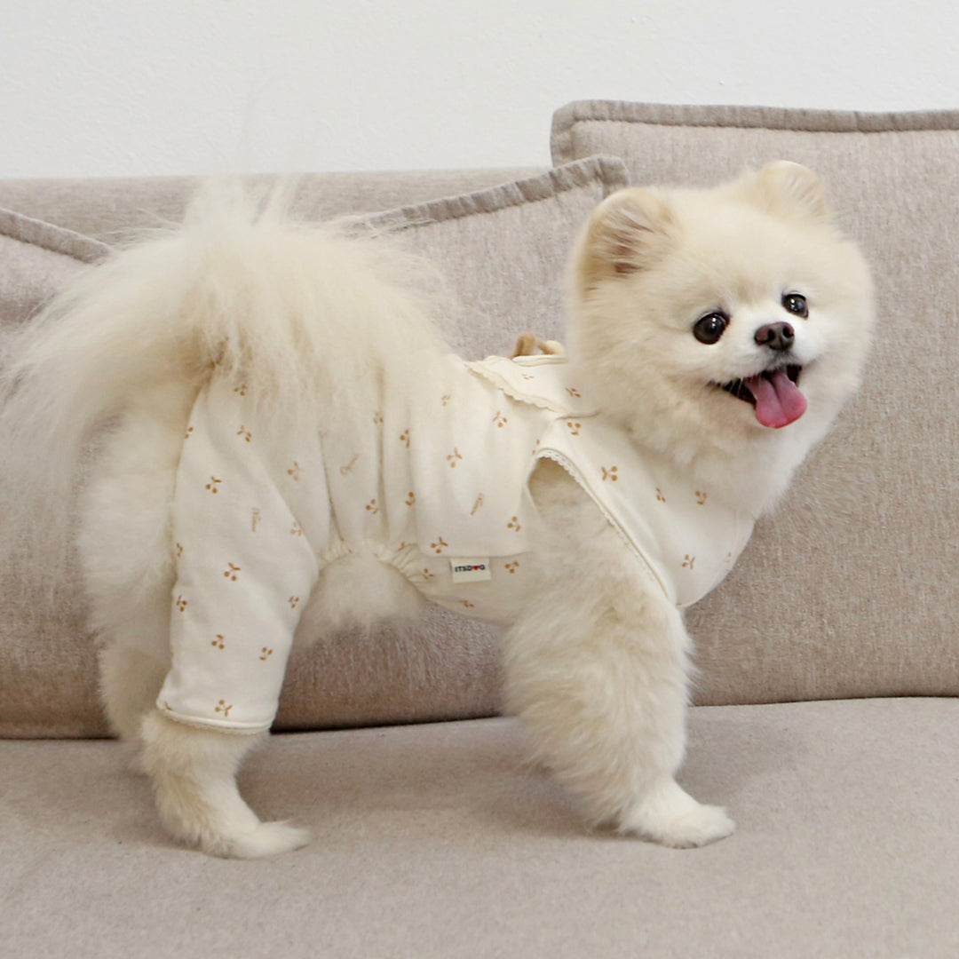 ※予約販売【ITS DOG】Organic Tory's Cherry All in one