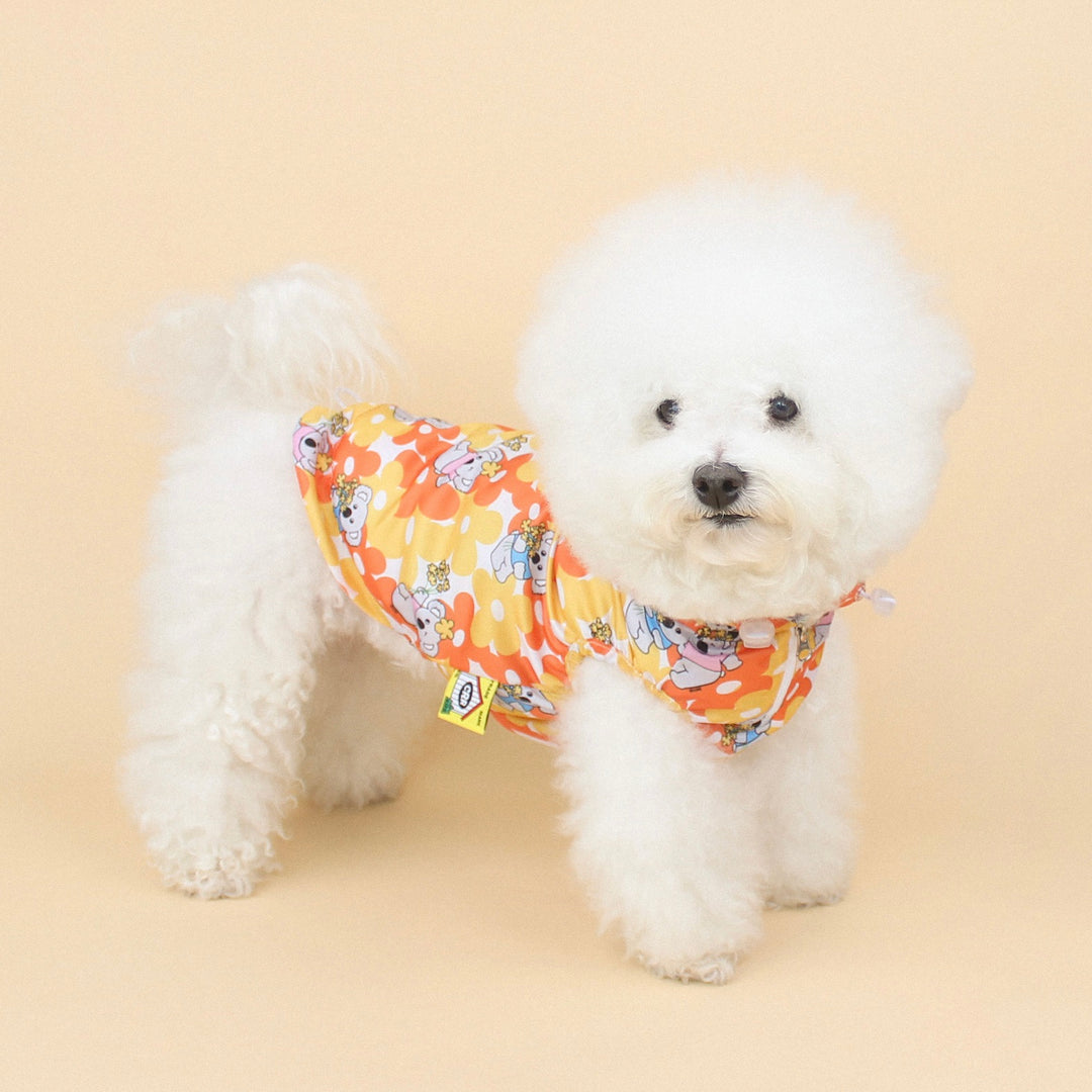 ※予約販売【CRR】PongPong Wind Breaker（Koala）