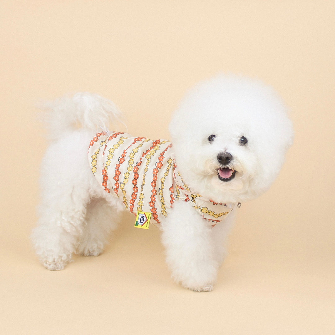 ※予約販売【CRR】PongPong Wind Breaker（Flower）