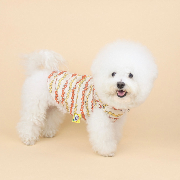 ※予約販売【CRR】PongPong Wind Breaker（Flower）