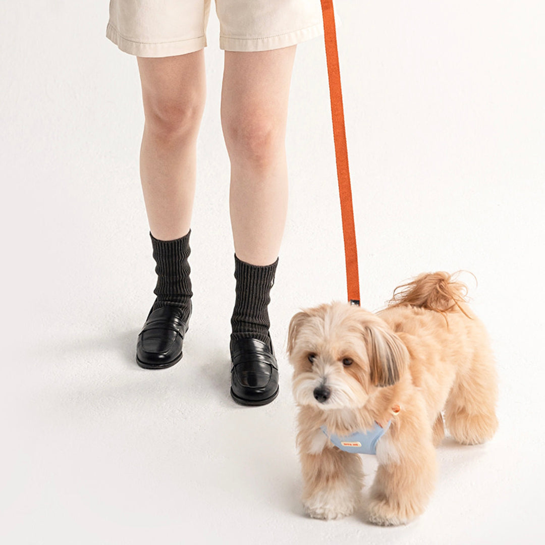 即納【BITE ME】Comfort Harness v2（3 types）｜犬用ハーネス