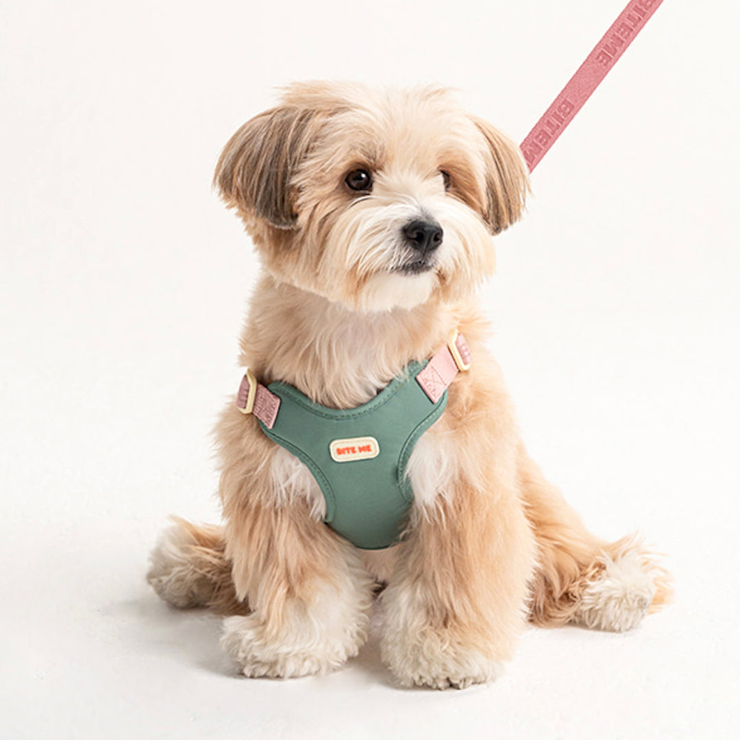 即納【BITE ME】Comfort Harness v2（3 types）｜犬用ハーネス