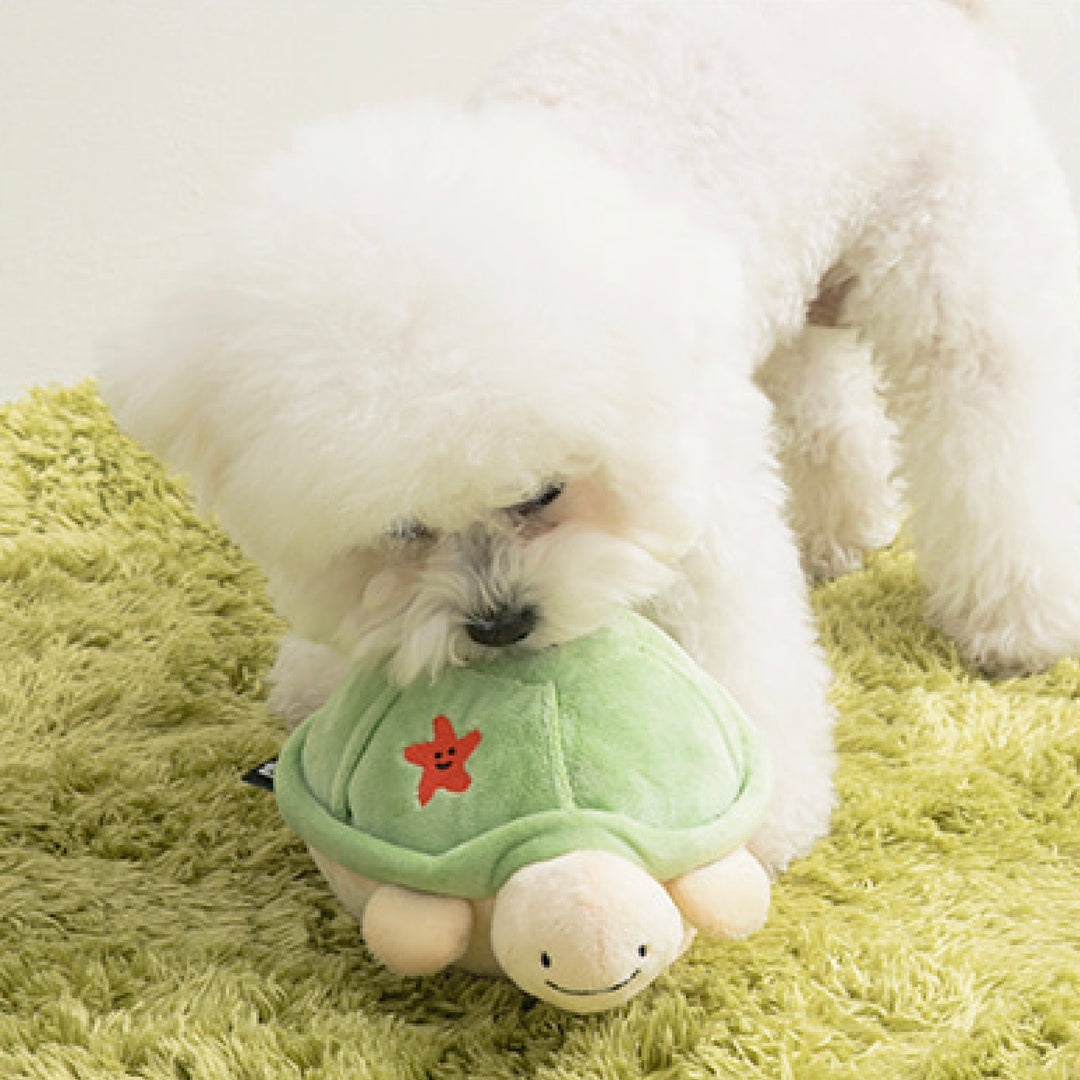 ※予約販売【BITE ME】Jumping Boogie Auto-Ball Toy