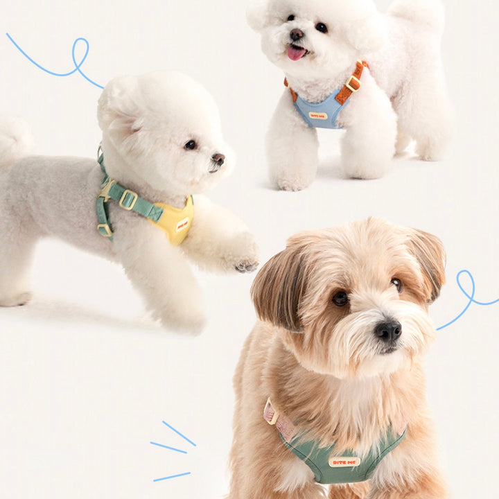 即納【BITE ME】Comfort Harness v2（3 types）｜犬用ハーネス