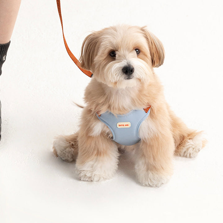 即納【BITE ME】Comfort Harness v2（3 types）｜犬用ハーネス
