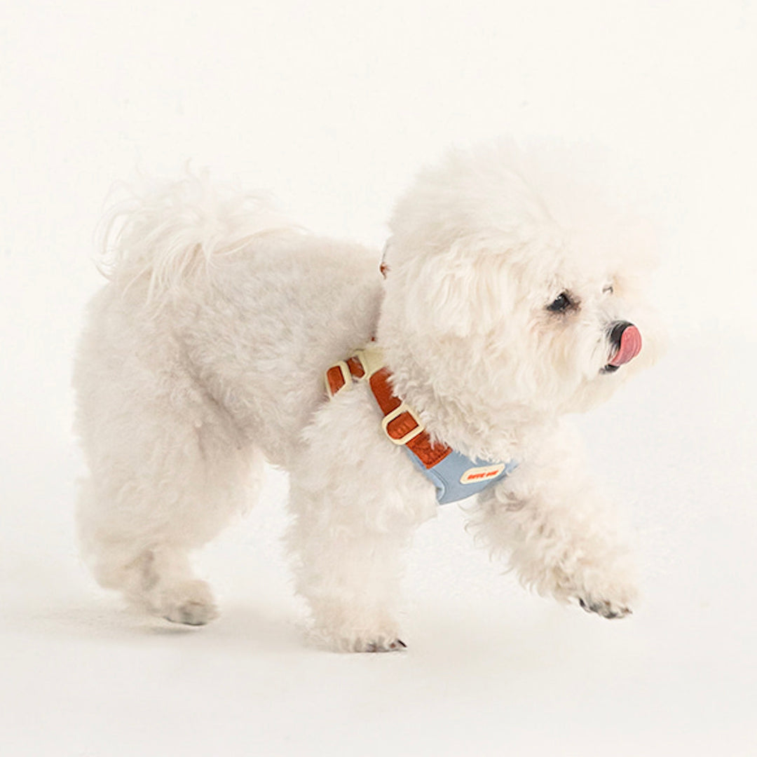 即納【BITE ME】Comfort Harness v2（3 types）｜犬用ハーネス