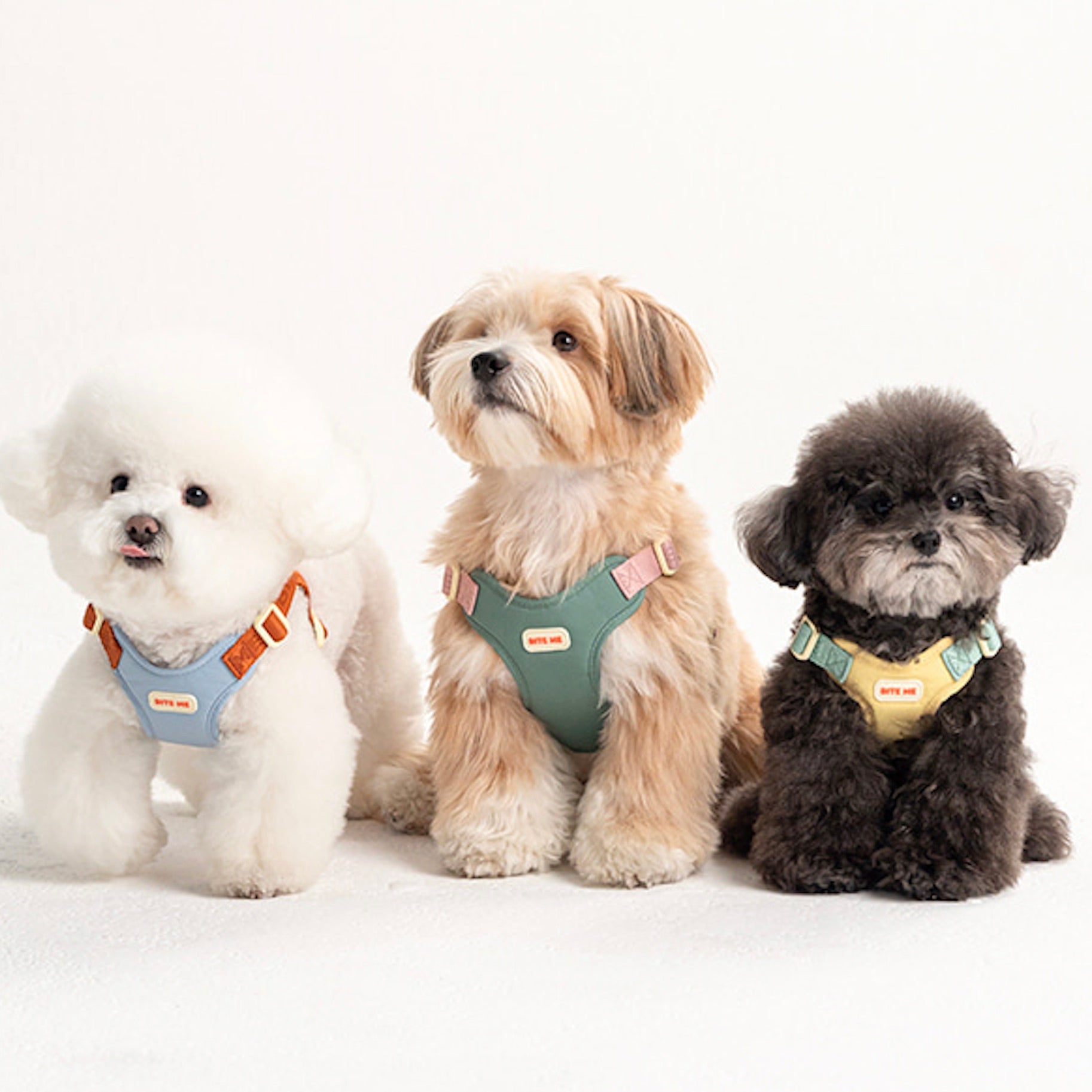 海外犬服 高品質なインポートのドッグウェア通販 