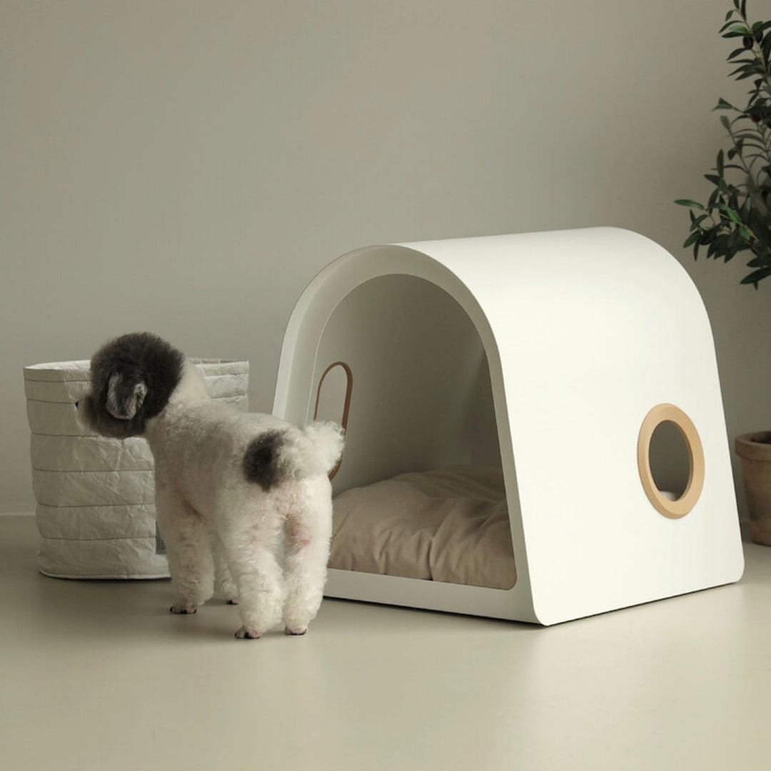 ※予約販売【andantte】Round House 3d frame（for Round House）