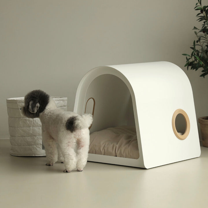 ※予約販売【andantte】Round House 3d frame（for Round House）