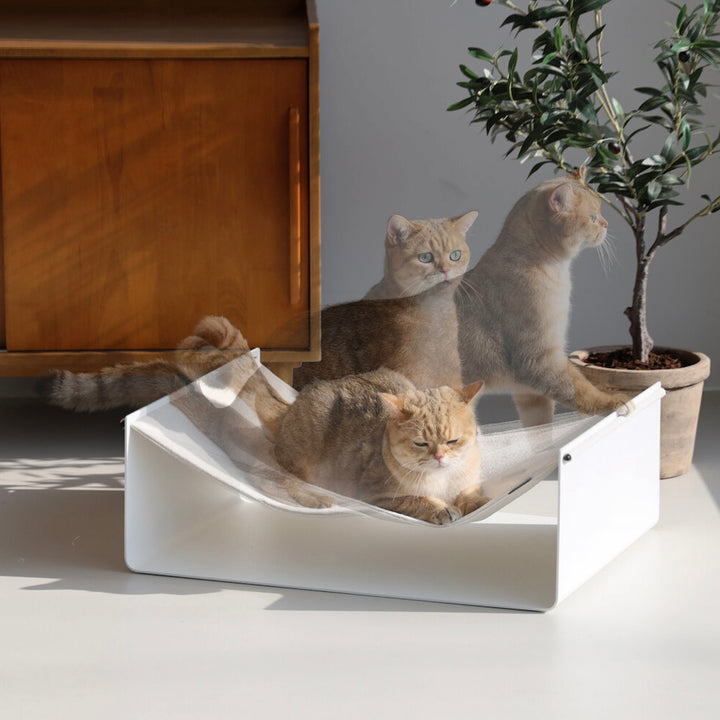 ※予約販売【andantte】Hammock 600