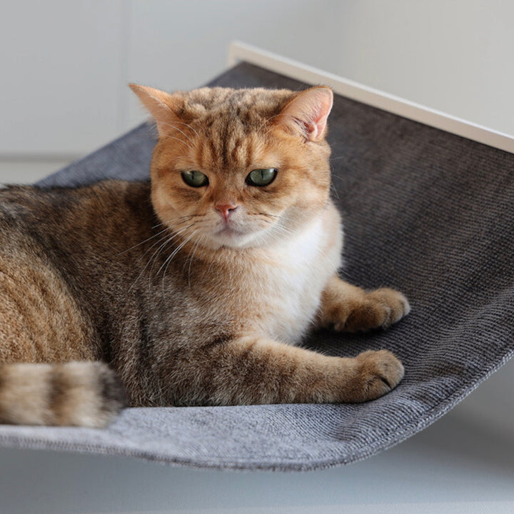 ※予約販売【andantte】Hammock 600