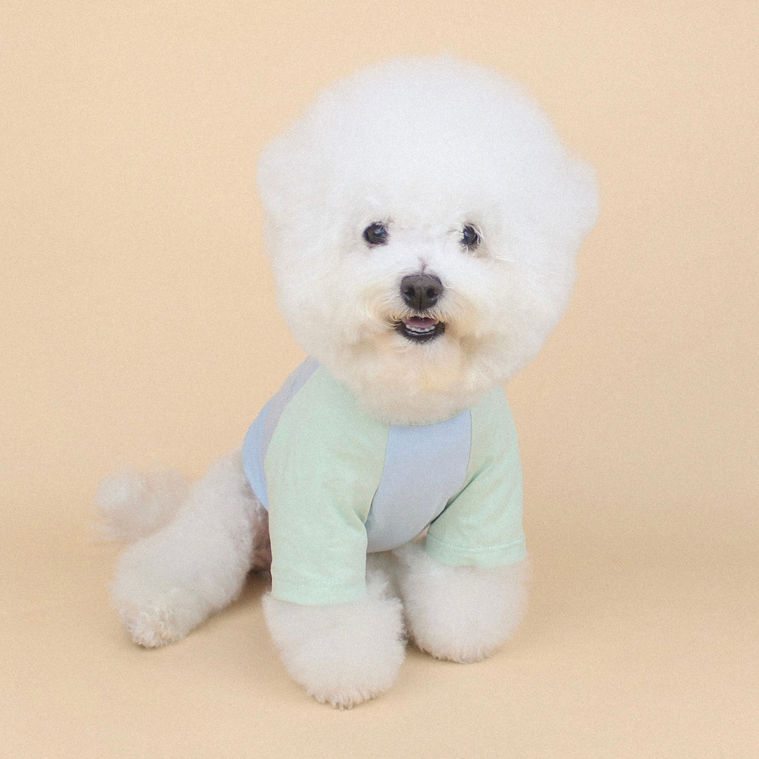 ※予約販売【CRR】Drawing Wide Raglan Tee（Sky）