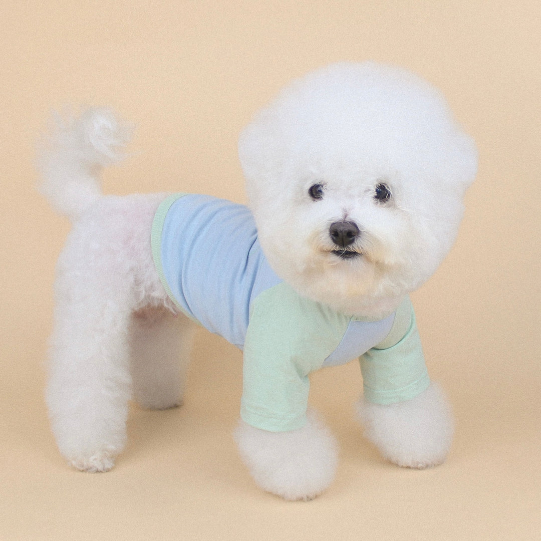 ※予約販売【CRR】Drawing Wide Raglan Tee（Sky）