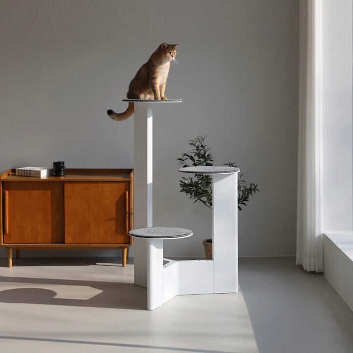 ※予約販売【andantte】Cat Tower 301