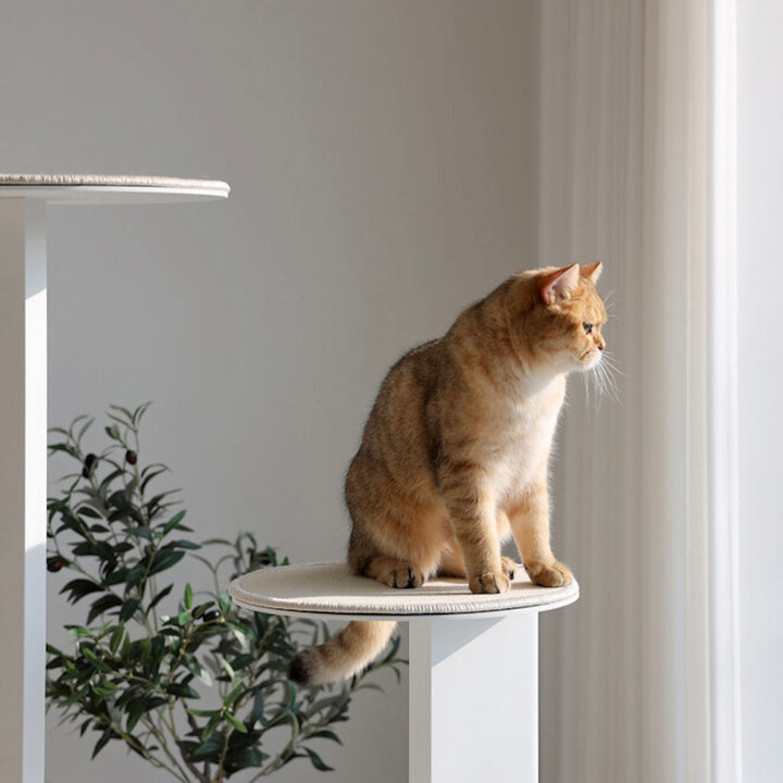 ※予約販売【andantte】Cat Tower 301