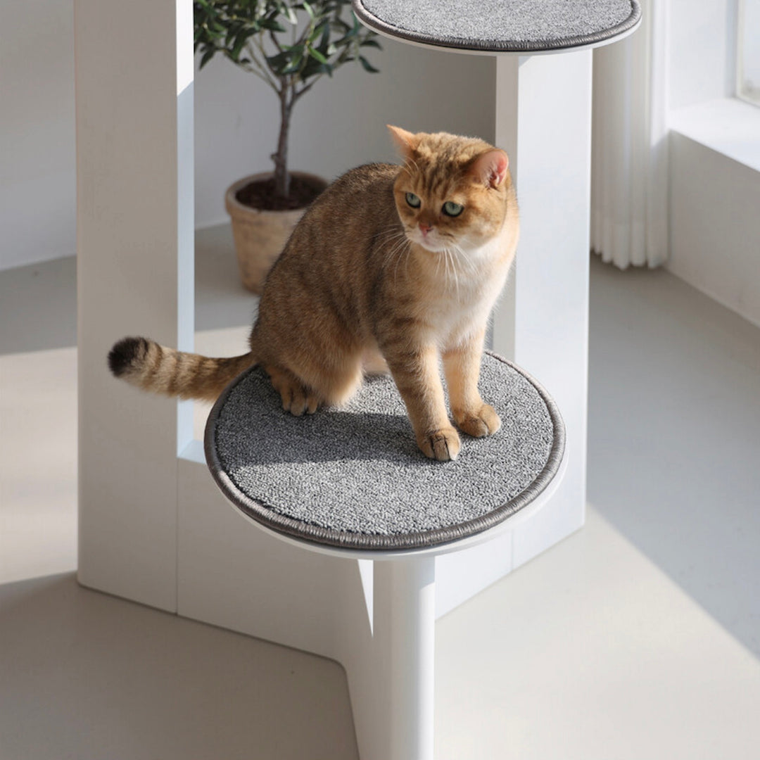 ※予約販売【andantte】Cat Tower 301