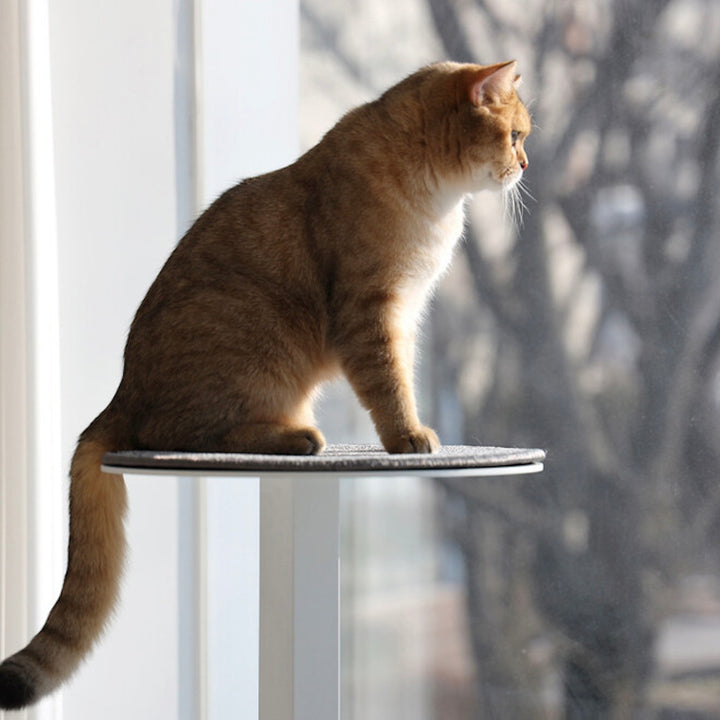 ※予約販売【andantte】Cat Tower 301