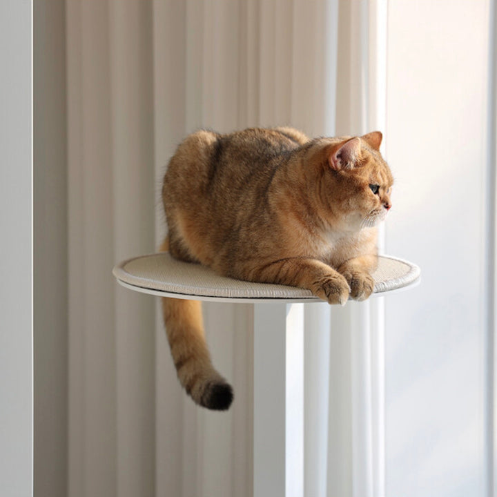 ※予約販売【andantte】Cat Tower 301