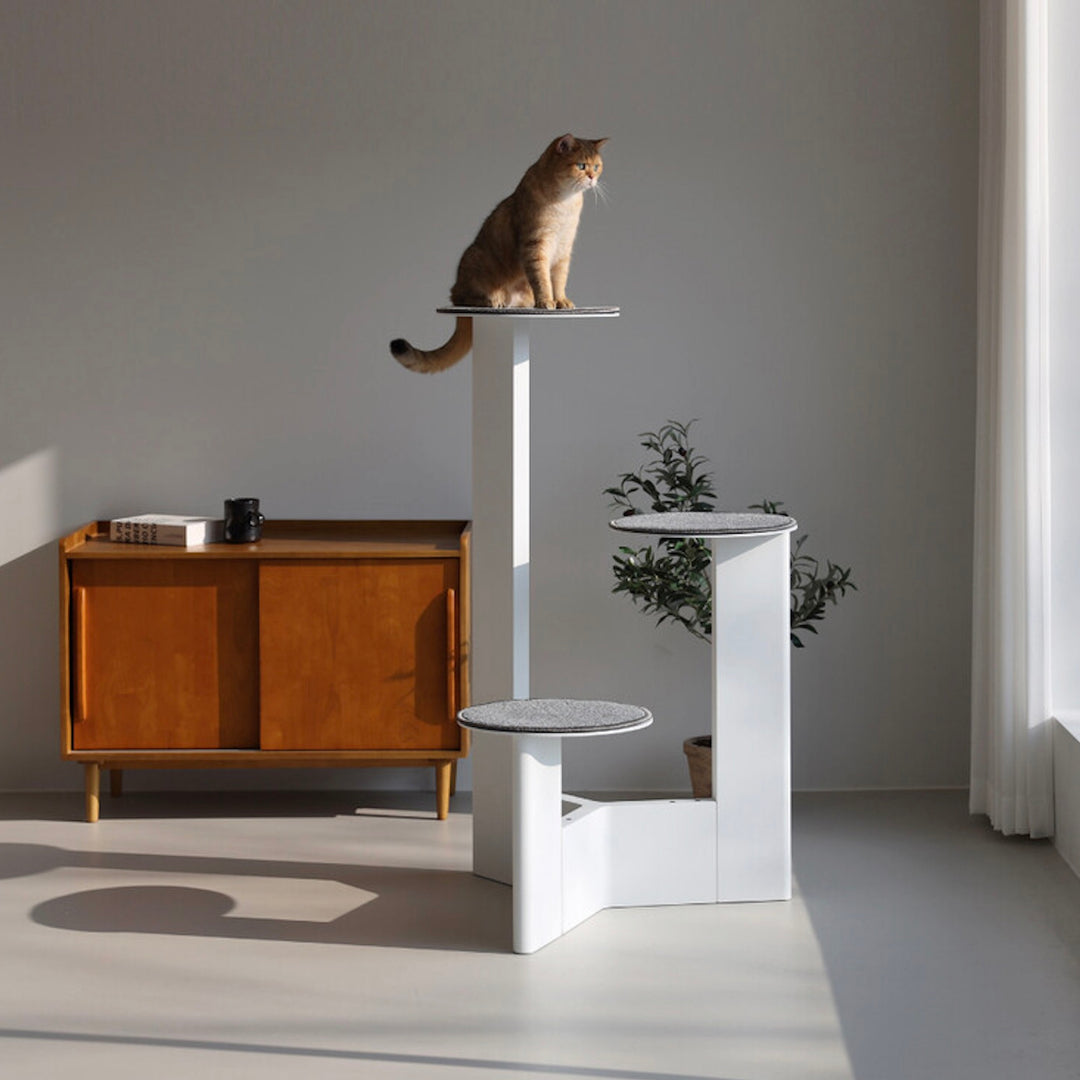 ※予約販売【andantte】Cat Tower 301