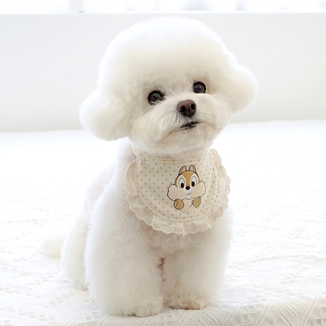 ※予約販売【ITS DOG】Disney Organic Chip 'n Dale Bib