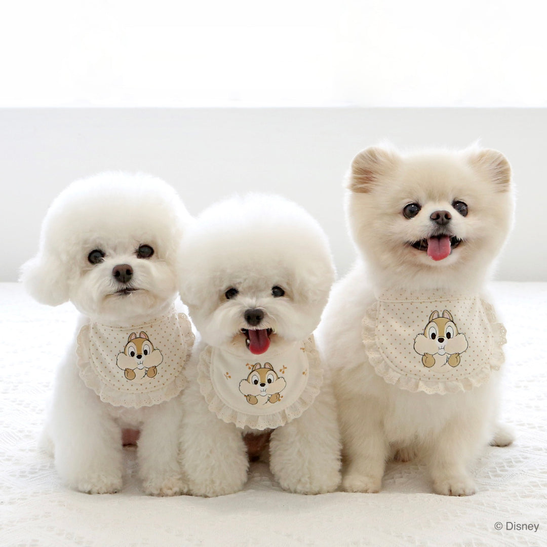 ※予約販売【ITS DOG】Disney Organic Chip 'n Dale Bib