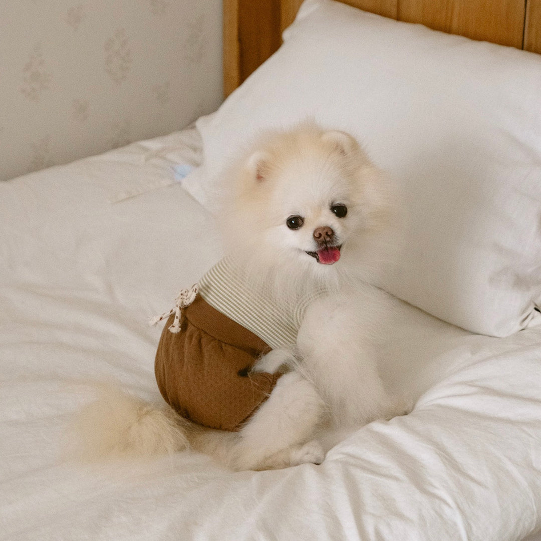 ※予約販売【noutti】Bebe All in one（Brown）