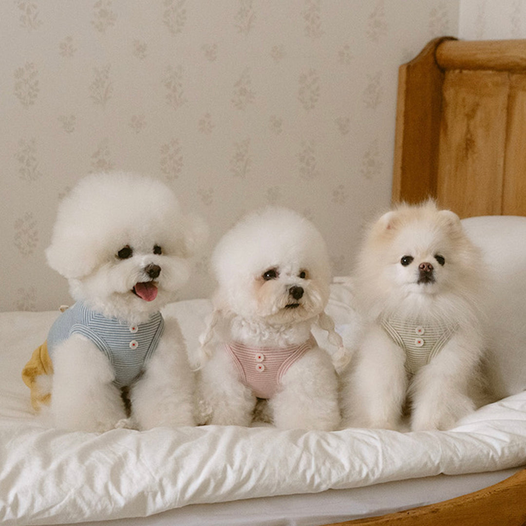 ※予約販売【noutti】Bebe All in one（Pink）