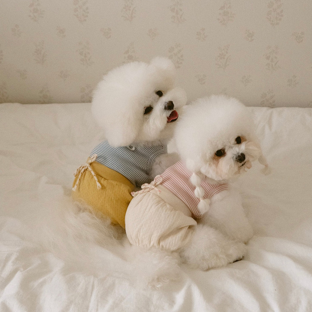 ※予約販売【noutti】Bebe All in one（Pink）