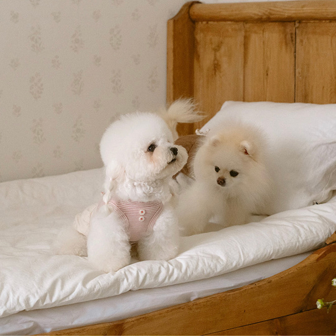 ※予約販売【noutti】Bebe All in one（Pink）