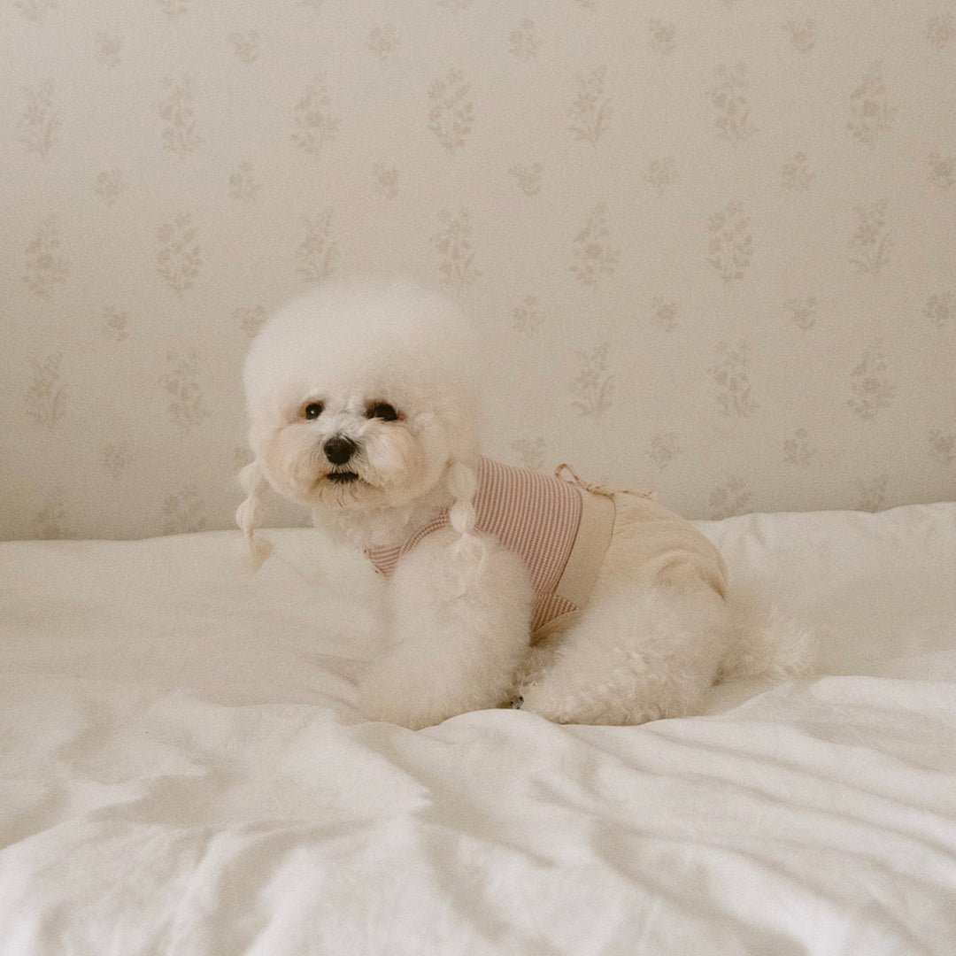 ※予約販売【noutti】Bebe All in one（Pink）