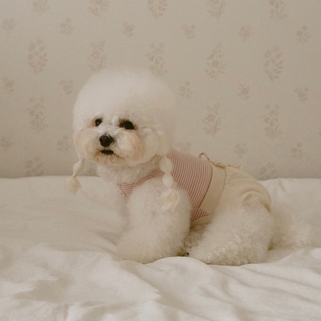 ※予約販売【noutti】Bebe All in one（Pink）