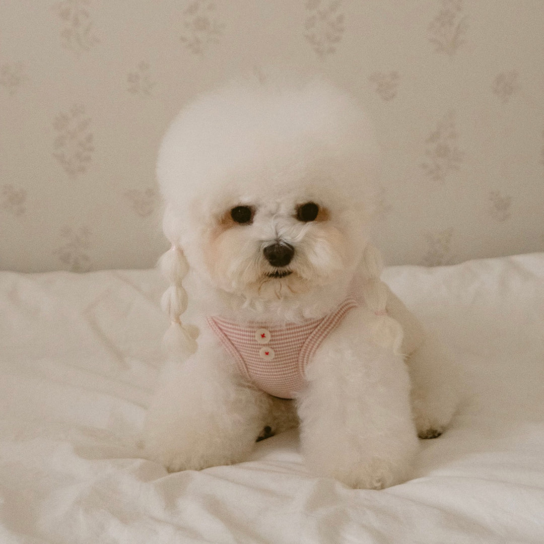 ※予約販売【noutti】Bebe All in one（Pink）