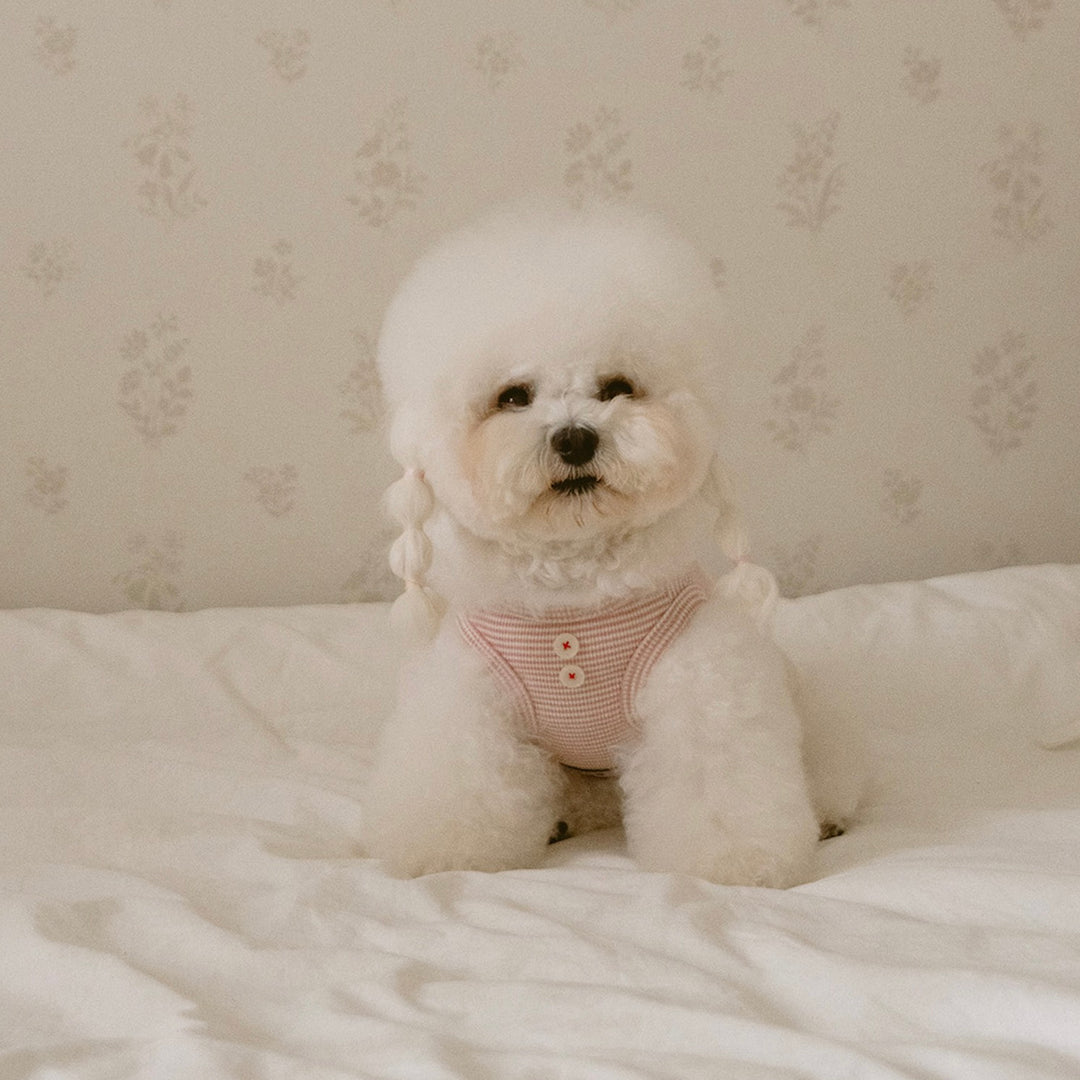 ※予約販売【noutti】Bebe All in one（Pink）