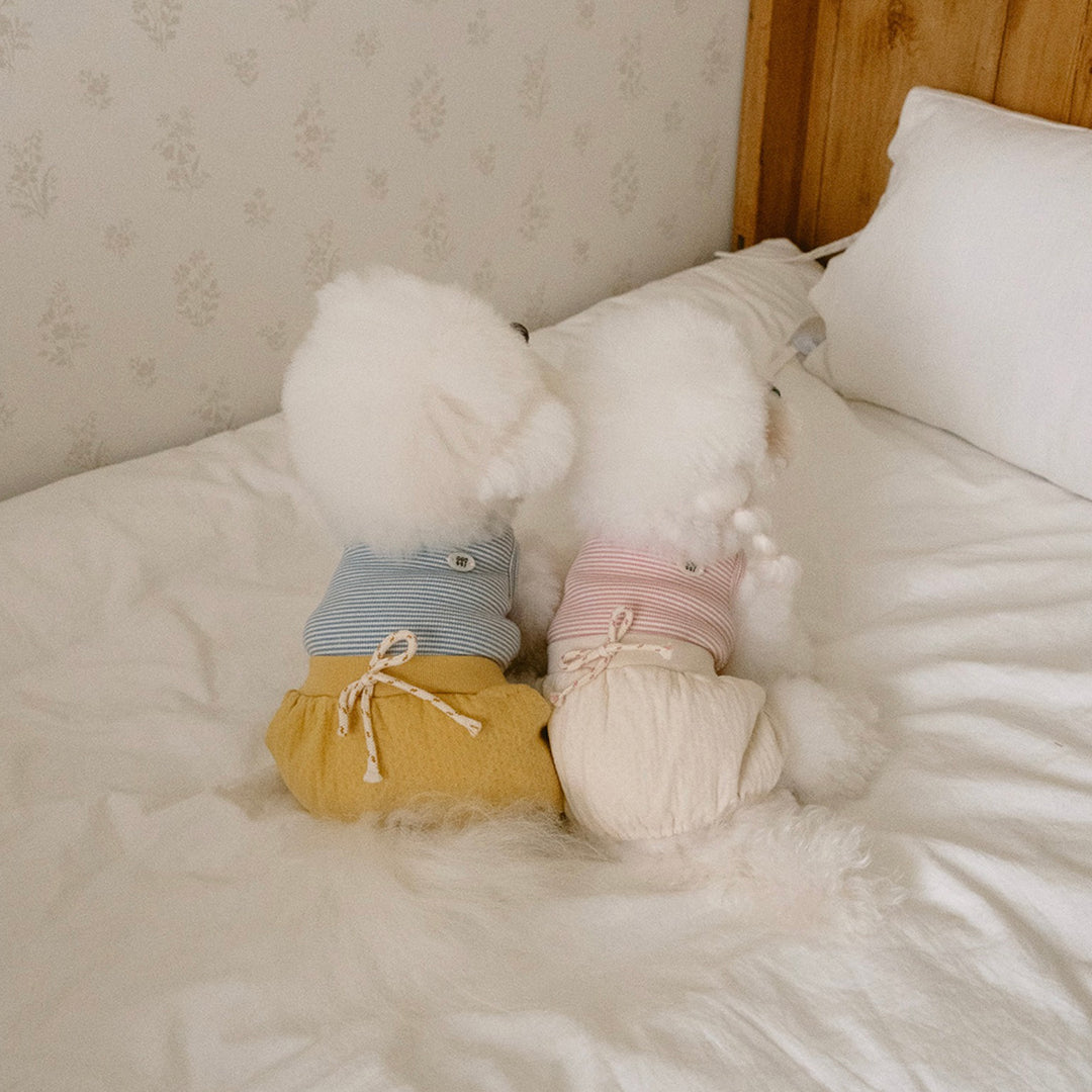 ※予約販売【noutti】Bebe All in one（Yellow）