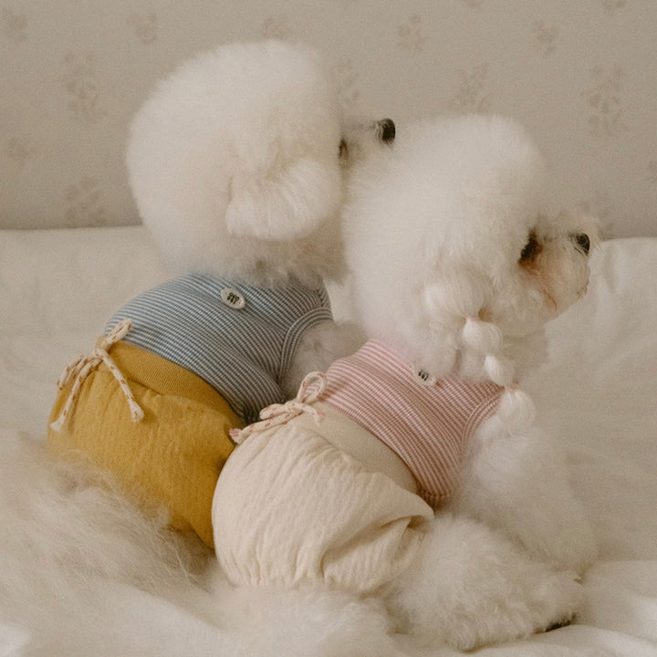 ※予約販売【noutti】Bebe All in one（Yellow）