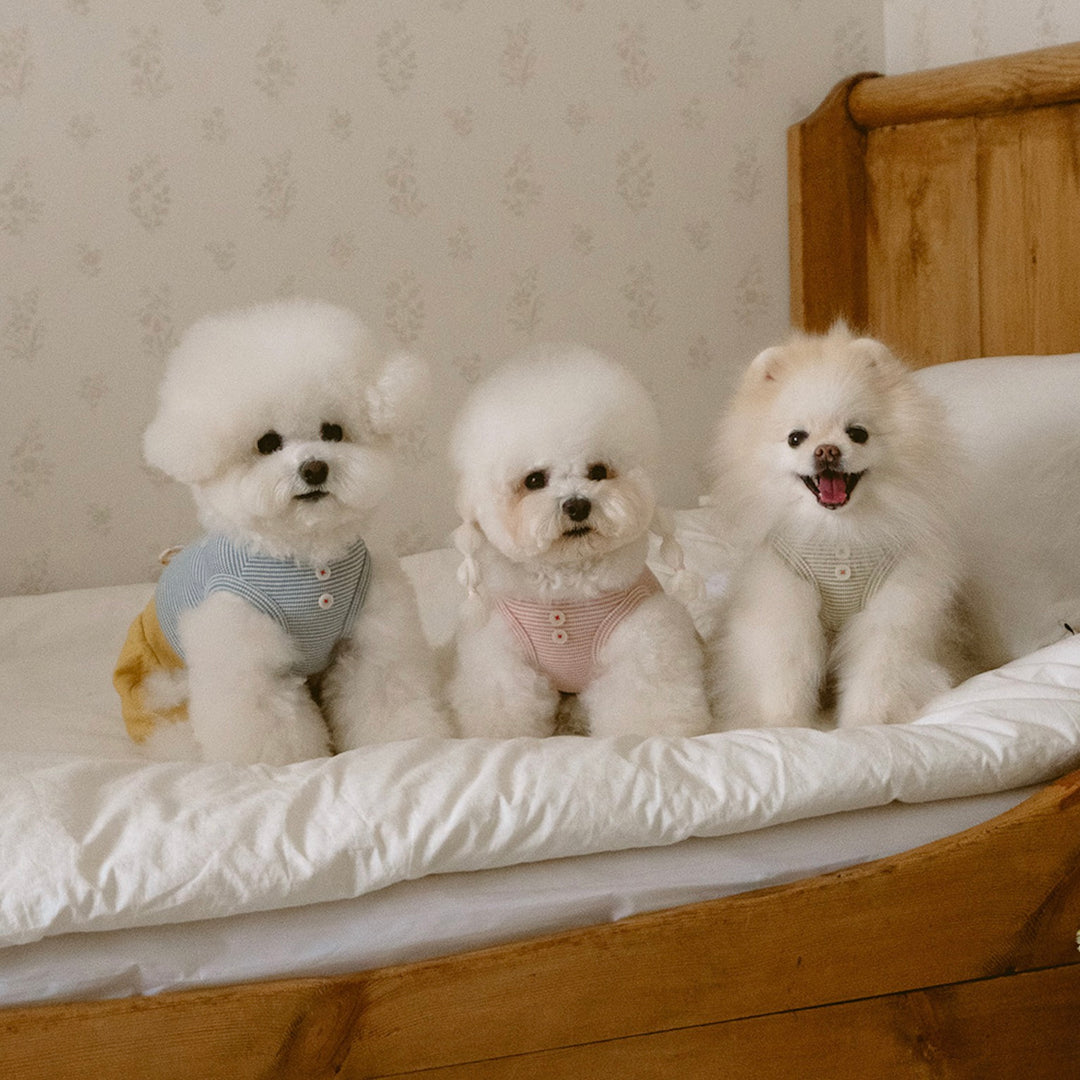 ※予約販売【noutti】Bebe All in one（Yellow）